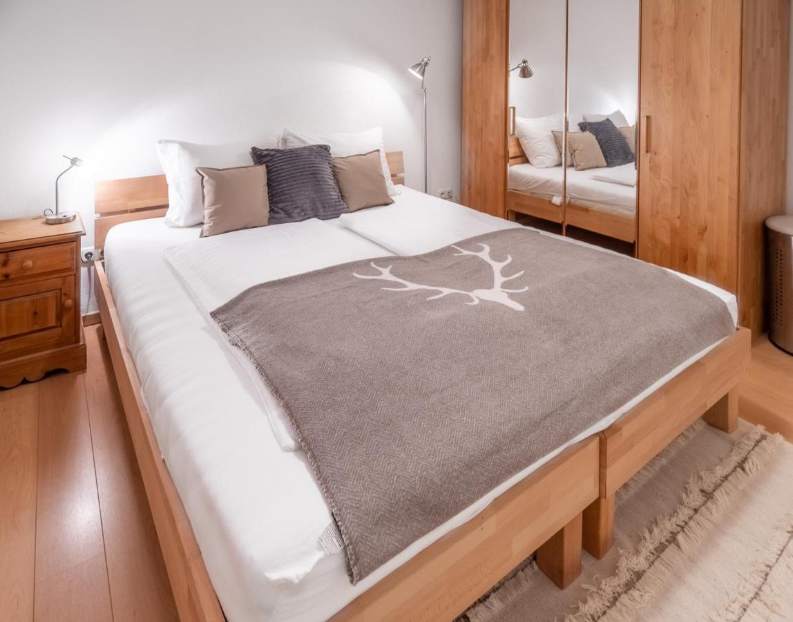 Schmitten & Cityxpress Apartment 1 And 2 Zell am See Bagian luar foto