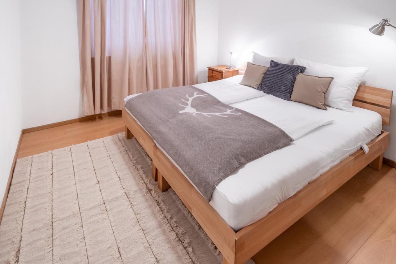 Schmitten & Cityxpress Apartment 1 And 2 Zell am See Bagian luar foto