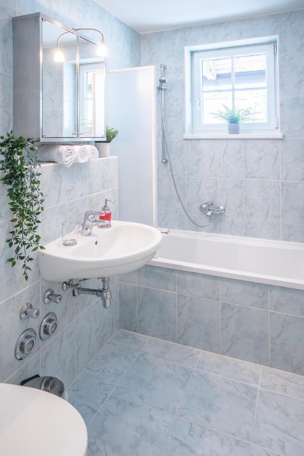 Schmitten & Cityxpress Apartment 1 And 2 Zell am See Bagian luar foto